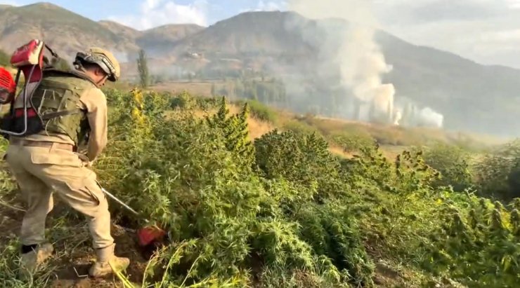 4 İlde 'Narkogüç' Operasyonlarında 13 Gözaltı