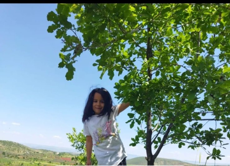 Yol Kenarında Hareketsiz Bulunan 6 Yaşındaki Nisa, Kurtarılamadı