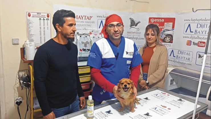 Otomobilin Çarptığı Şila'nın Kalçası Kırıldı