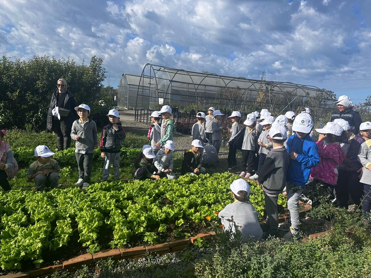 rizede-ogrencilere-tarimsal-uretimin-onemini-ve-faydalarini-anlatmak-amaciyla-vakiflar-ilkogretim-1-a-sinifi-ogrencileri-tarimsal-uretimle-tanisti-4.jpg