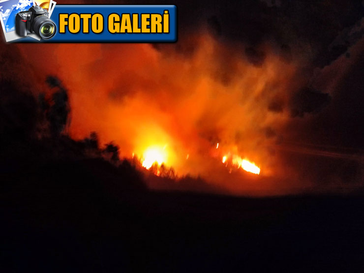 surmenede-orman-yangini-2-itfaiye-eri-dumandan-etkilendi-foto-galeri.jpg