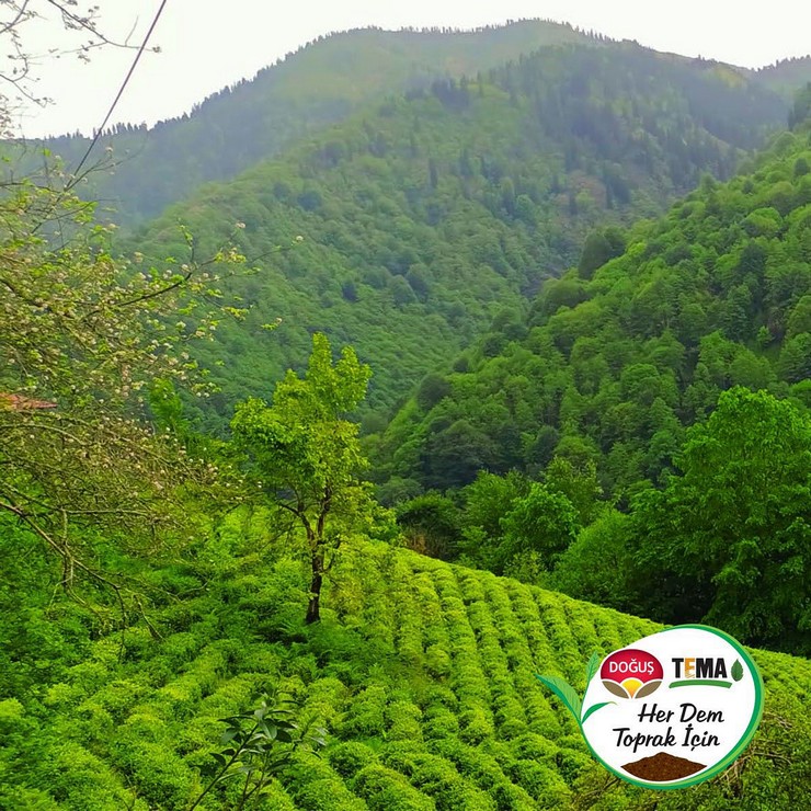 dogus-cay-her-dem-toprak-icin-projesinde-verimler-artiyor-1.jpg