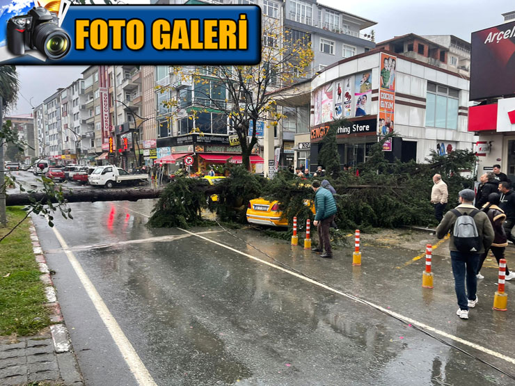 rizede-firtina-sac-uctu-agac-taksinin-uzerine-devrildi.jpg