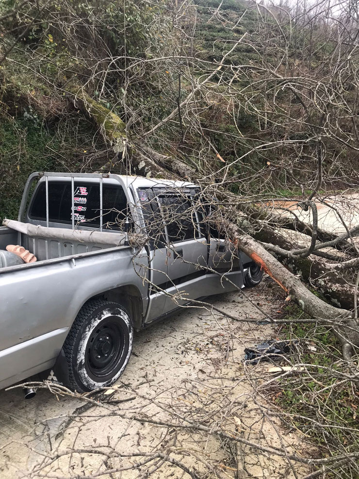 rizede-kesimi-yapilan-agac-seyir-halindeki-kamyonetin-uzerine-devrildi.jpg