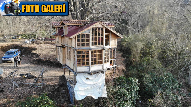 rizeli-vatandas-150-yillik-agacin-govdesine-21-ev-yapti.jpg
