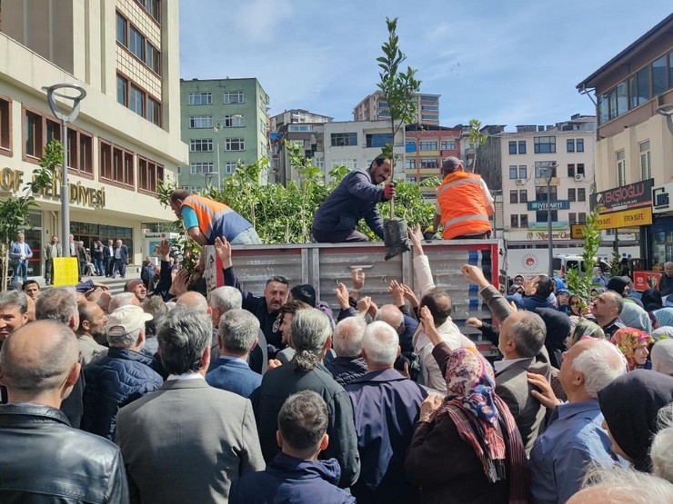 trabzonun-of-ilcesi-ilginc-bir-hayir-etkinligine-sahne-oldu-ucar-ailesi-tarafindan-dagitilan-bir-tir-dolusu-20-bin-meyve-fidani-yarim-saat-icinde-tukendi-3.jpg