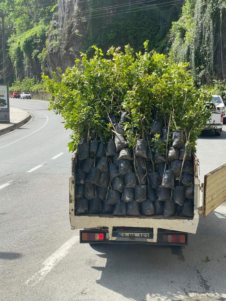 camlihemsinde-bin-meyve-fidani-ve-300-ata-tohumu-dagitildi-3.jpg