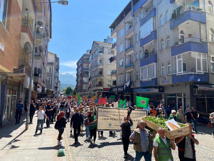 rizenin-findikli-ilcesinde-duzenlenen-yuruyuste-ilce-ziraat-odasi-esnaf-odasi-ve-ureticiler-19-lira-olarak-aciklanan-2024-yili-yas-cay-alim-fiyatina-tepki-gosterdi-g-3.jpg