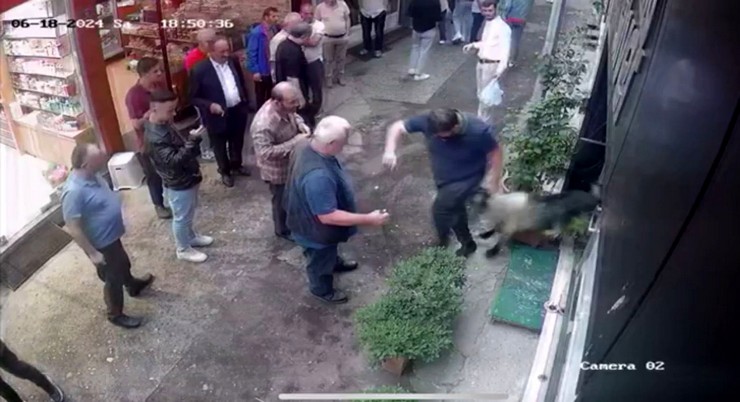 trabzonun-vakfikebir-ilcesinde-kurban-bayraminda-kesime-goturulurken-kacan-keci-gumuscu-dukkanina-girdi-kecinin-boynuzuyla-kirdigi-cam-kapidan-is-yerine-girme-ani-kam-1.jpg