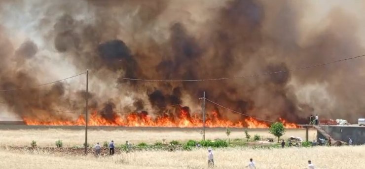 Diyarbakır’da 3 Ayrı Bölgede 420 Dönüm Ekili Buğday Yandı