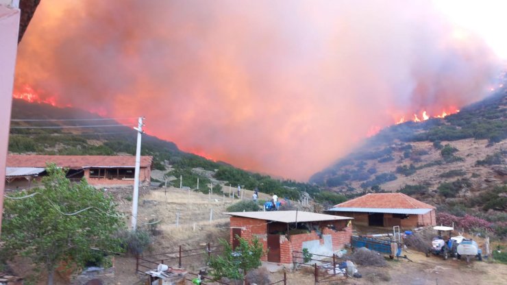 Manisa'da Orman Yangını (2)