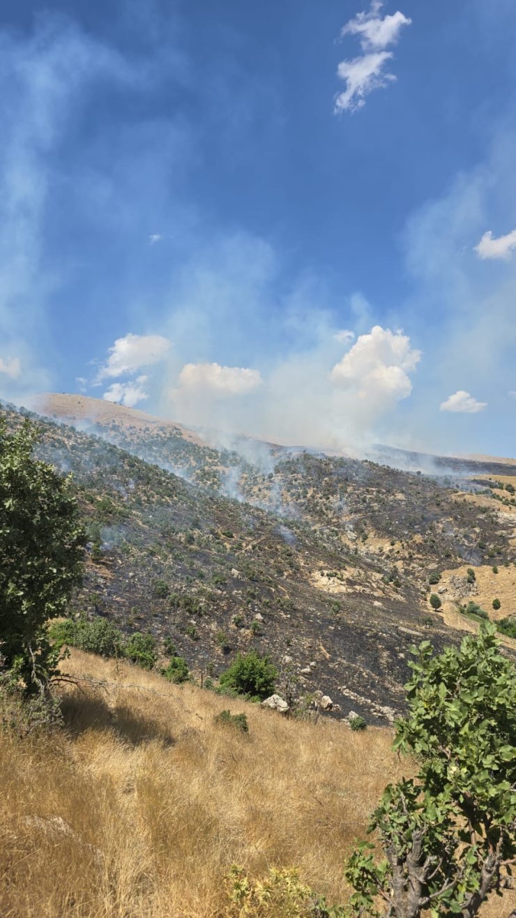 Siirt'te Çıkan Orman Yangını, 6 Saatte Kontrol Altına Alındı