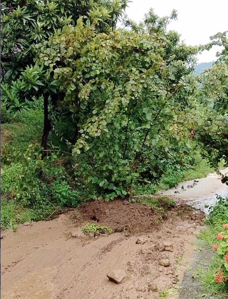 trabzondaki-heyelanda-findik-agacinin-kayarak-suruklenmesi-cep-telefonuyla-kaydedildi-3.jpg