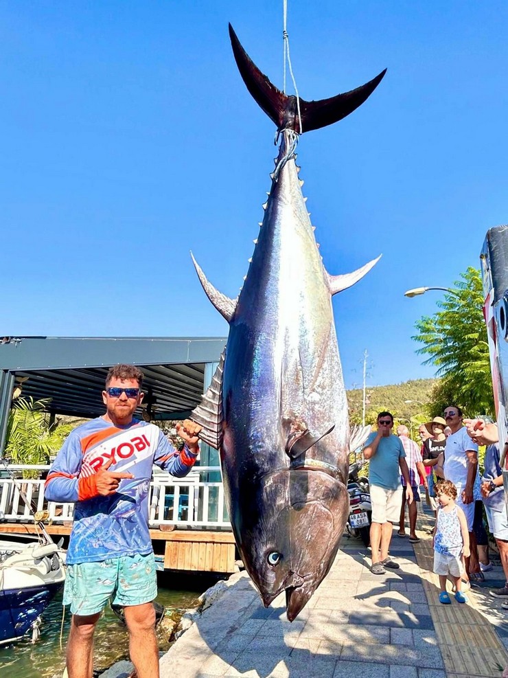 muglanin-bodrum-ilcesinden-denize-acilan-balikcilar-aydinin-didim-ilcesi-aciklarinda-oltayla-317-kilogram-agirliginda-dev-orkinos-yakaladi-orkinos-4-saat-45-dakika-mucadele-ile-denizden-cikarildi-1.jpg