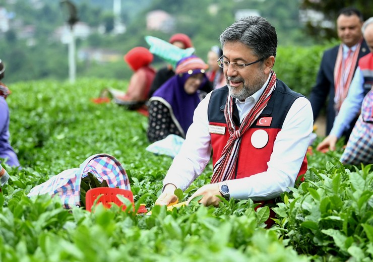 tarim-ve-orman-bakani-ibrahim-yumakli-rizede-cay-hasadinda-bulundu-2.jpg