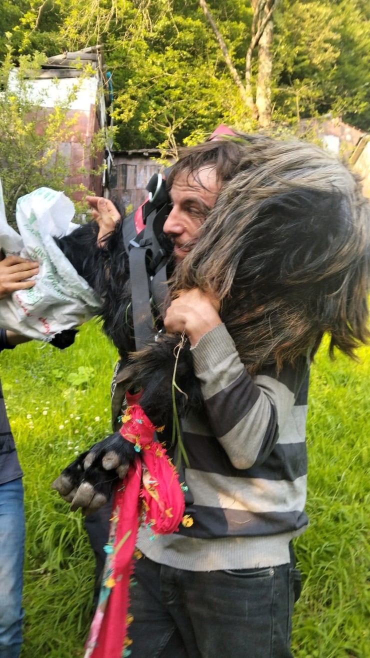 trabzonun-tonya-ilcesinde-besici-mustafa-aydinin-36-kurban-bayrami-icin-aldigi-kecisi-ahirdan-kacip-kayboldu.jpg