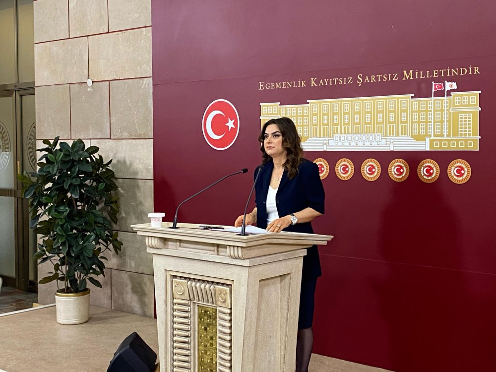 DEM Parti'li Koçyiğit: Kurtulmuş'un komisyon için yaptığı davetten memnuniyet duyuyoruz