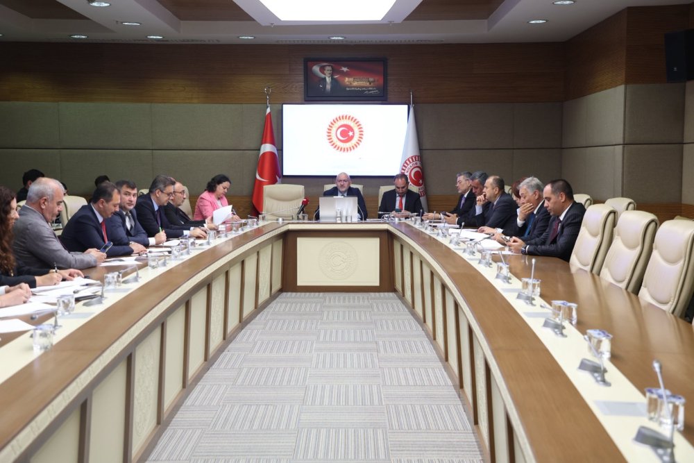 TBMM Zirai Don Olayını Araştırma Komisyonu toplandı