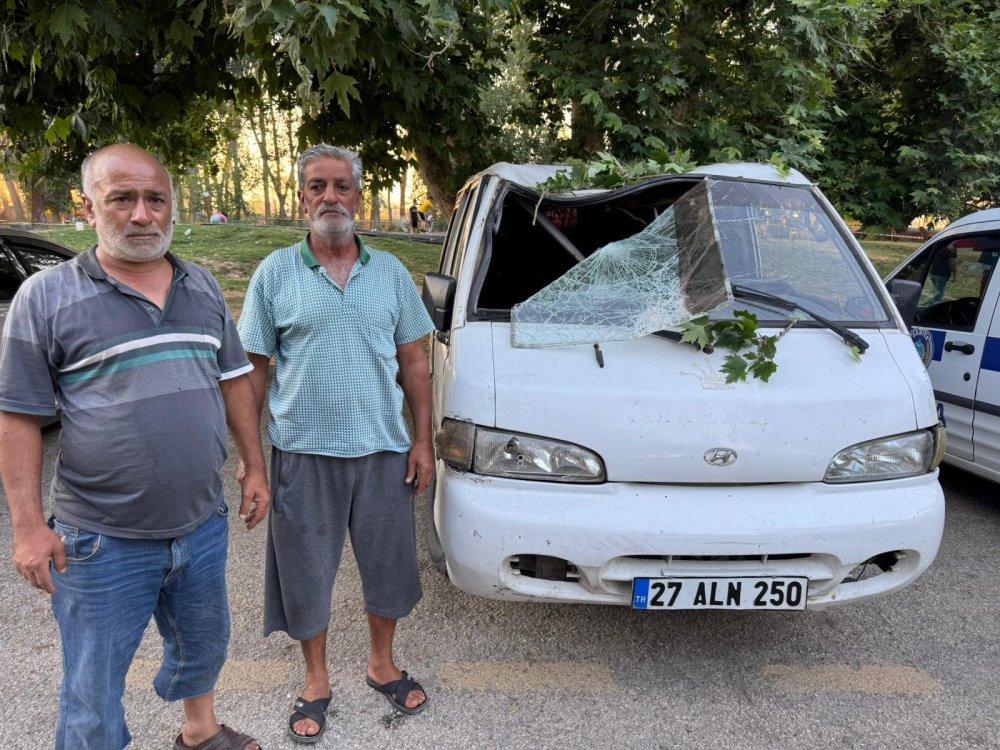 Ağacın kırılan dalı, piknik yapanların üzerine düştü: 11 yaralı