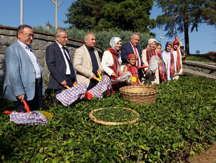 aile-ve-sosyal-hizmetler-bakani-mahinur-ozdemir-goktas-rizede-ziraat-botanik-cay-bahcesinde-cay-topladi-4.jpg