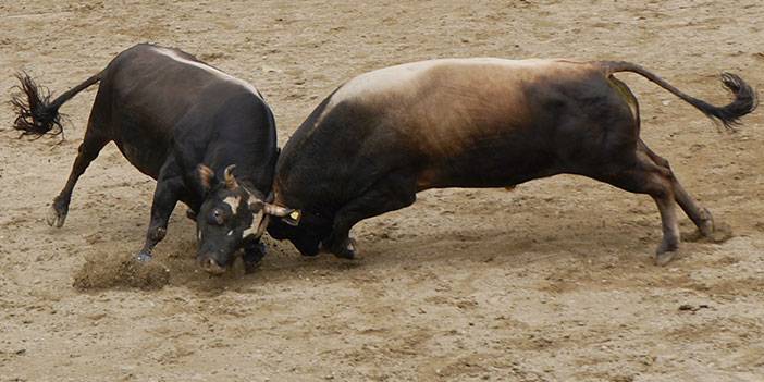 Rize'de 27. Çamlıhemşin Ayder Kültür, Sanat ve Doğa Festivali sona erdi