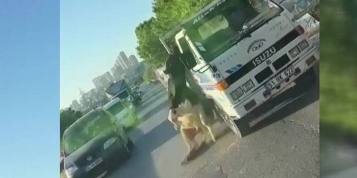 Kamyonet üstünde taşınan boğa dengesini kaybederek araçtan düştü