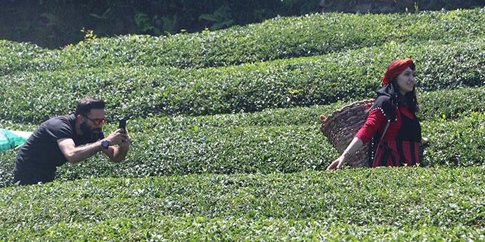 Rize’deki çay bahçesi baklava görünümlü hali ile turistlerin ilgisini çekiyor