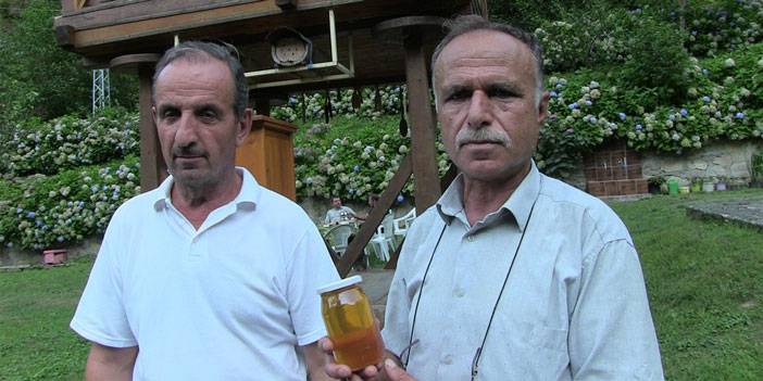 Macahel balı Anzer Balı'na rakip oluyor