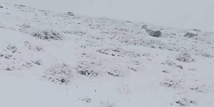 Artvin'in yüksek kesimlerine kar yağdı