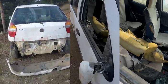 Aç ayı otomobilin camını kırıp içine girdi