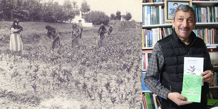 Rizeli AraştırmaYazar Recep Koyuncu Ezberleri Bozdu! Tozlu Raflardan Çıkan Gerçek: Çayın Gizli Kahramanı Rauf Başar