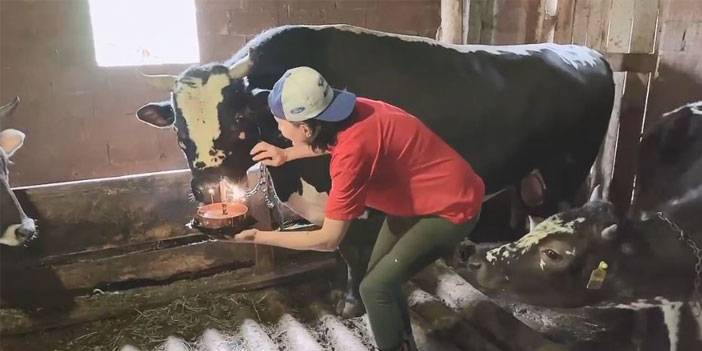 Fenomen boğasına doğum gününde böyle sürpriz yaptı
